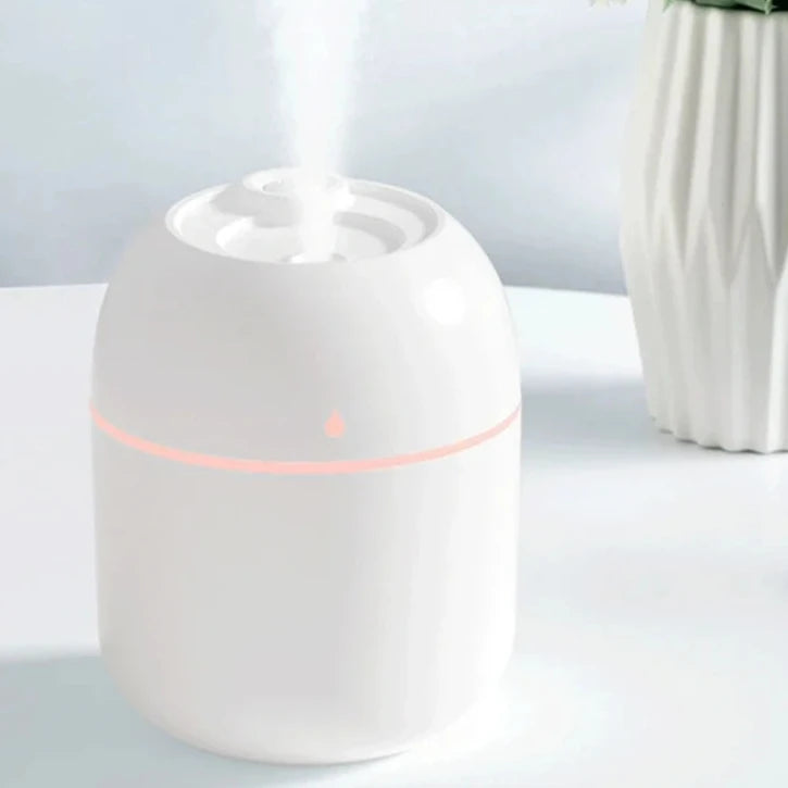 USB Mini Humidifer/Essential Oil Diffuser